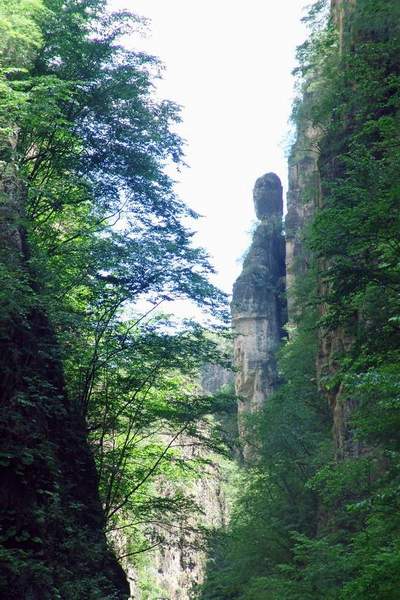 百里峽邊，白草畔巔；放松心情，迎接挑戰。