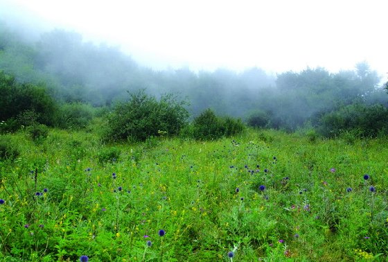 百里峽邊，白草畔巔；放松心情，迎接挑戰。(圖2)